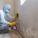 Mold Remediation in Charleston, South Carolina