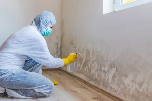 3 Signs You Need Mold Remediation Services