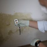 Mold Detection